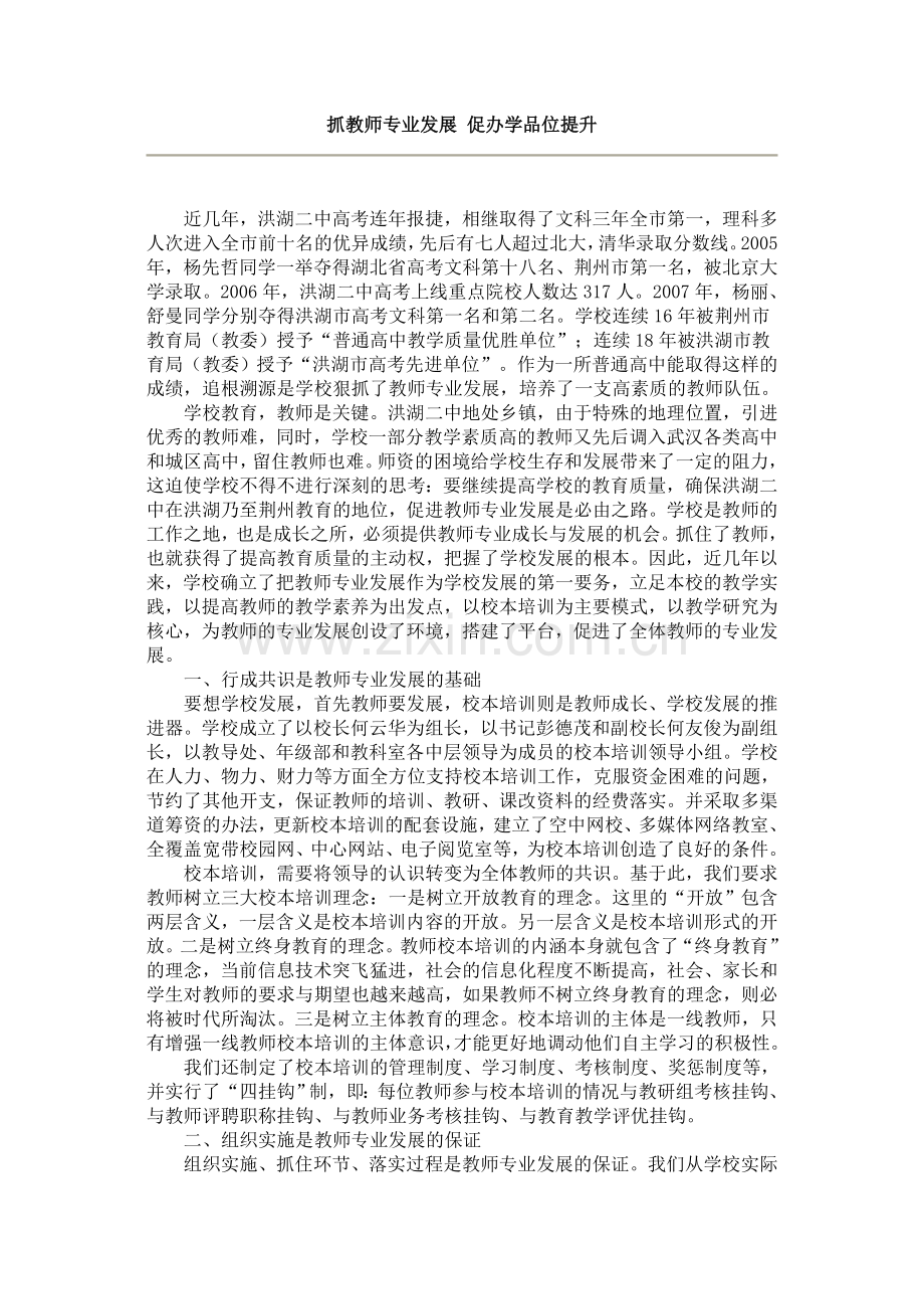 抓教师专业发展 促办学品位提升.doc_第1页