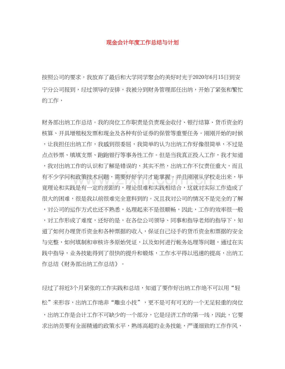 现金会计年度工作总结与计划.docx_第1页