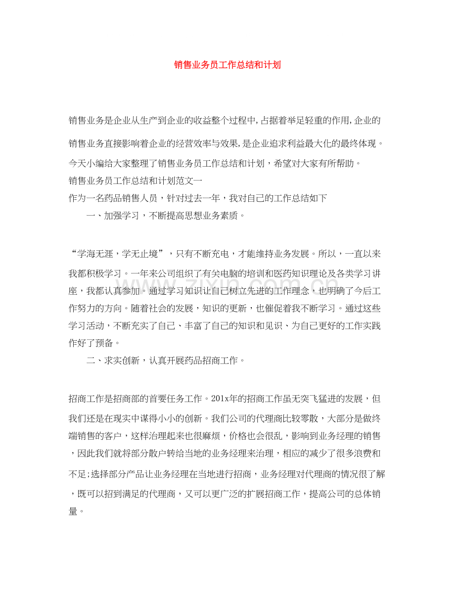 销售业务员工作总结和计划.docx_第1页
