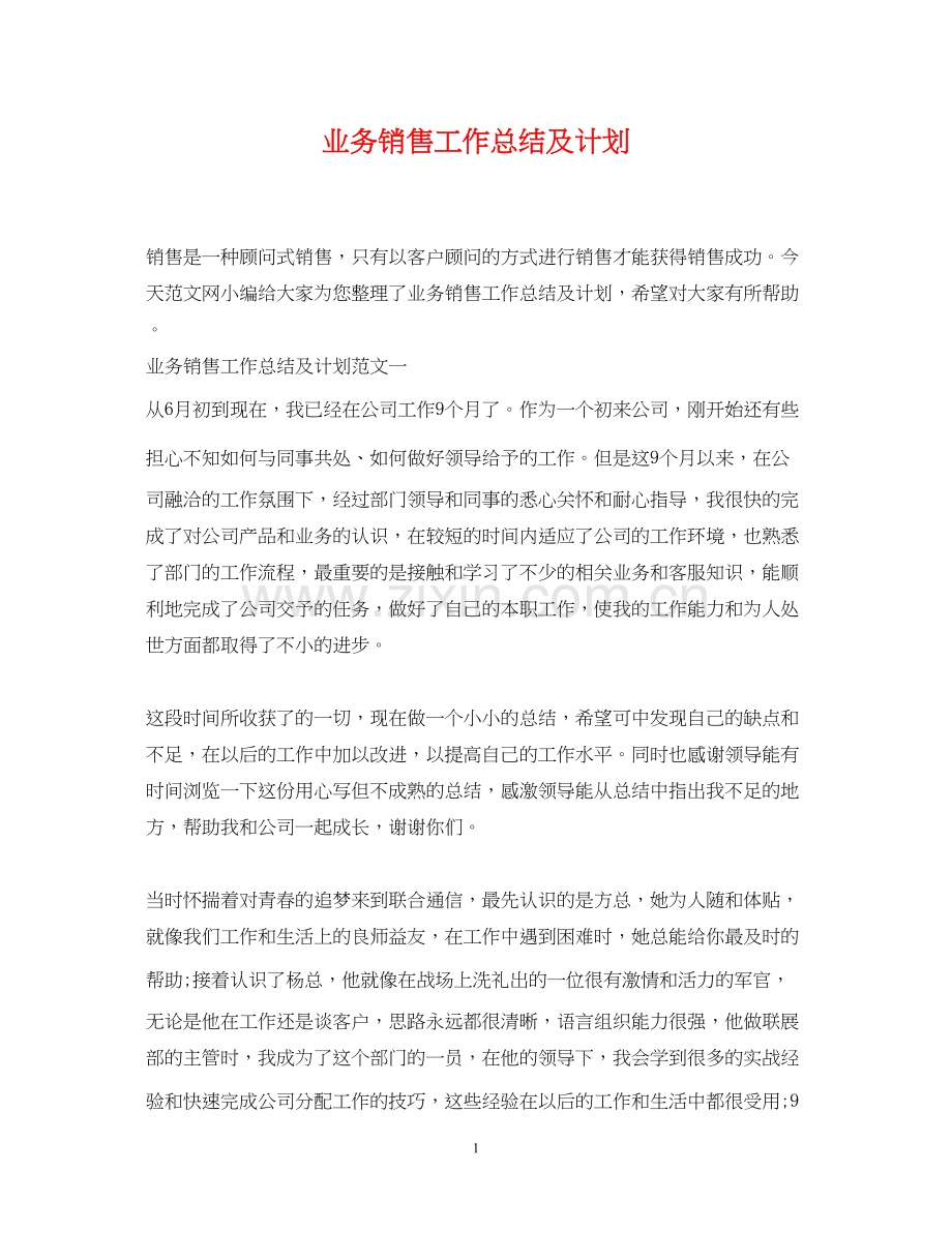业务销售工作总结及计划.docx_第1页