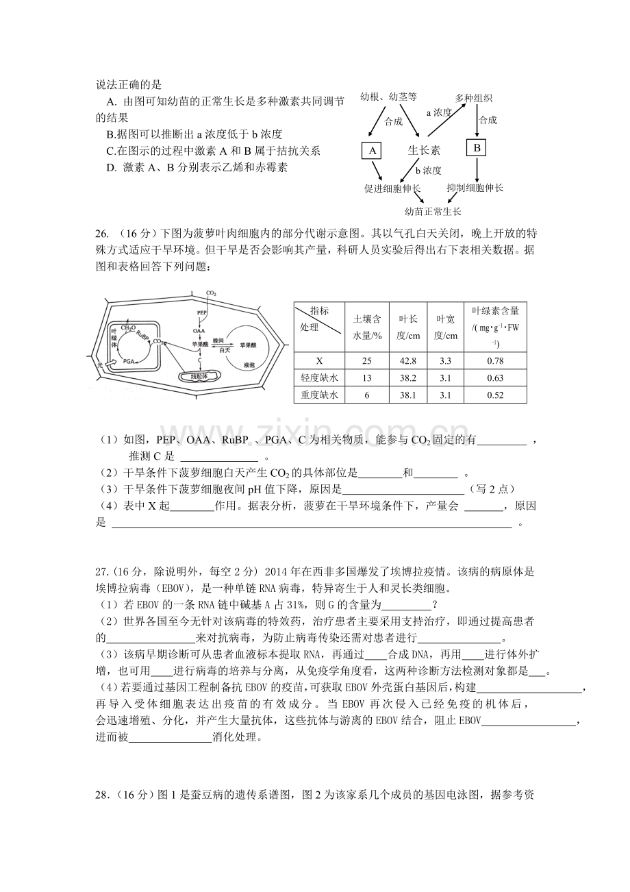 惠州市2015届高三第三次调研考试生物试题(20150103).doc_第2页