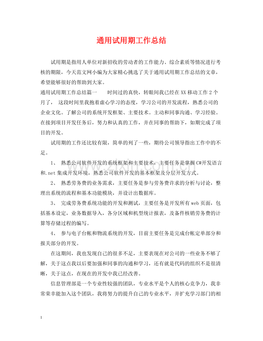 通用试用期工作总结.docx_第1页