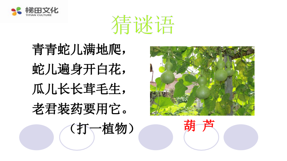 我要的是葫芦课件一.ppt_第1页