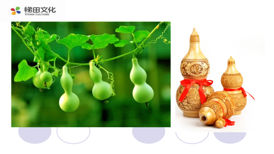 我要的是葫芦课件一.ppt_第2页