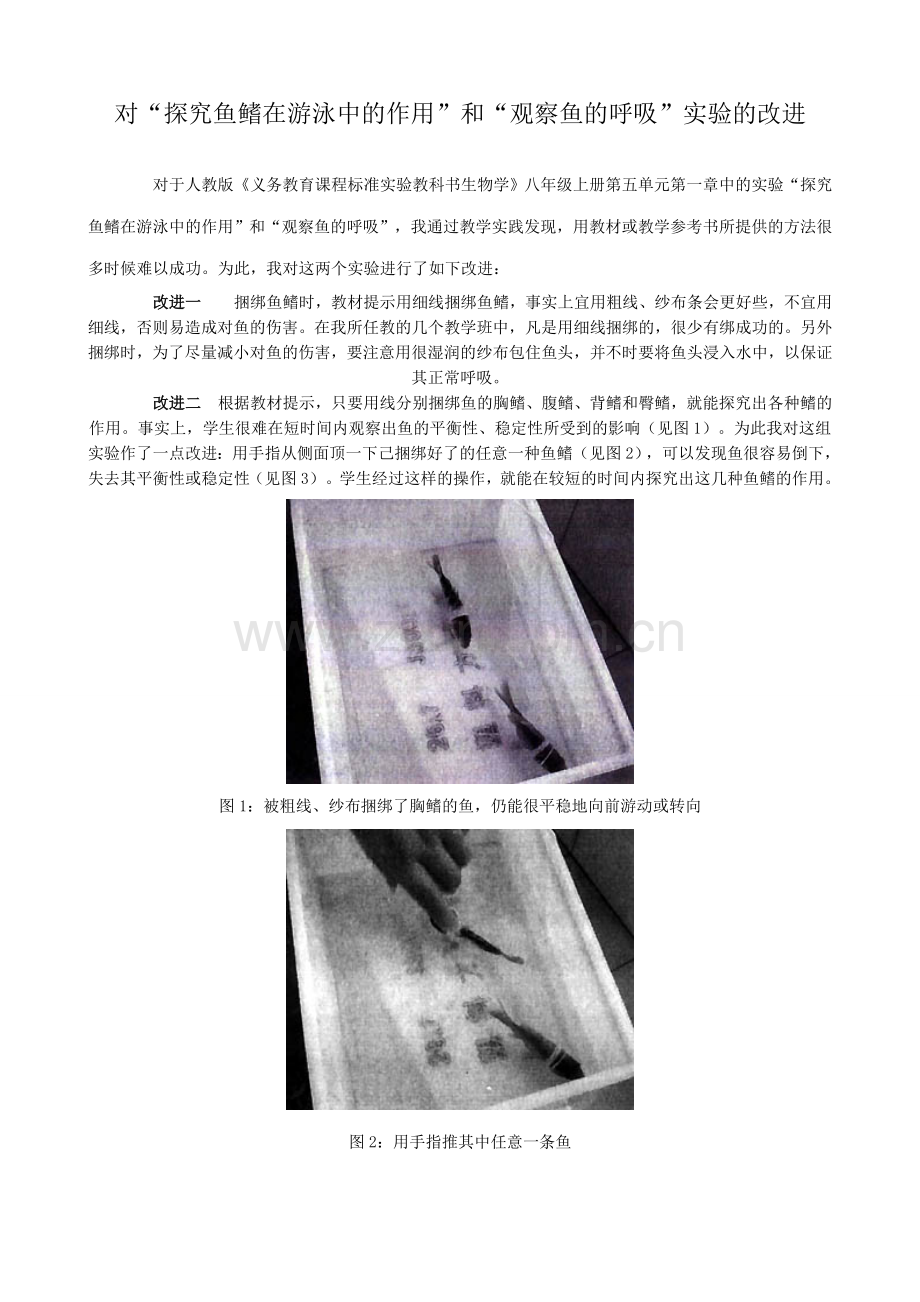 八年级生物新人教版对“探究鱼鳍在游泳中的作用”和“观察鱼的呼吸”实验的改进.doc_第1页