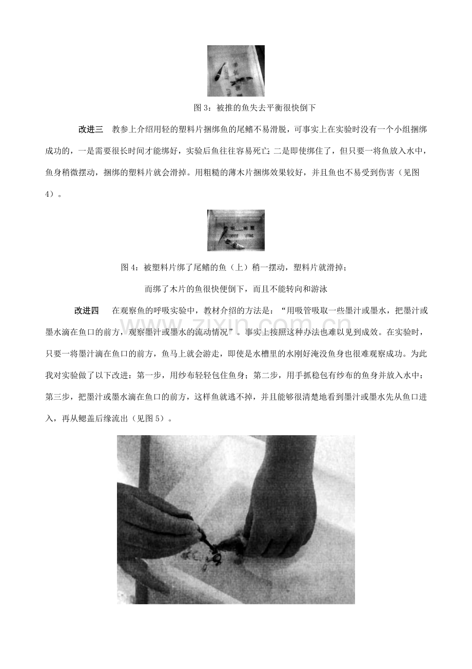 八年级生物新人教版对“探究鱼鳍在游泳中的作用”和“观察鱼的呼吸”实验的改进.doc_第2页