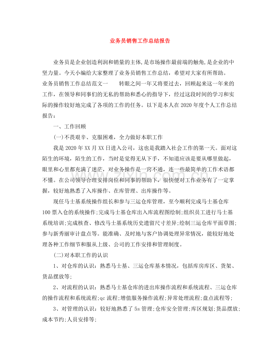 业务员销售工作总结报告.docx_第1页
