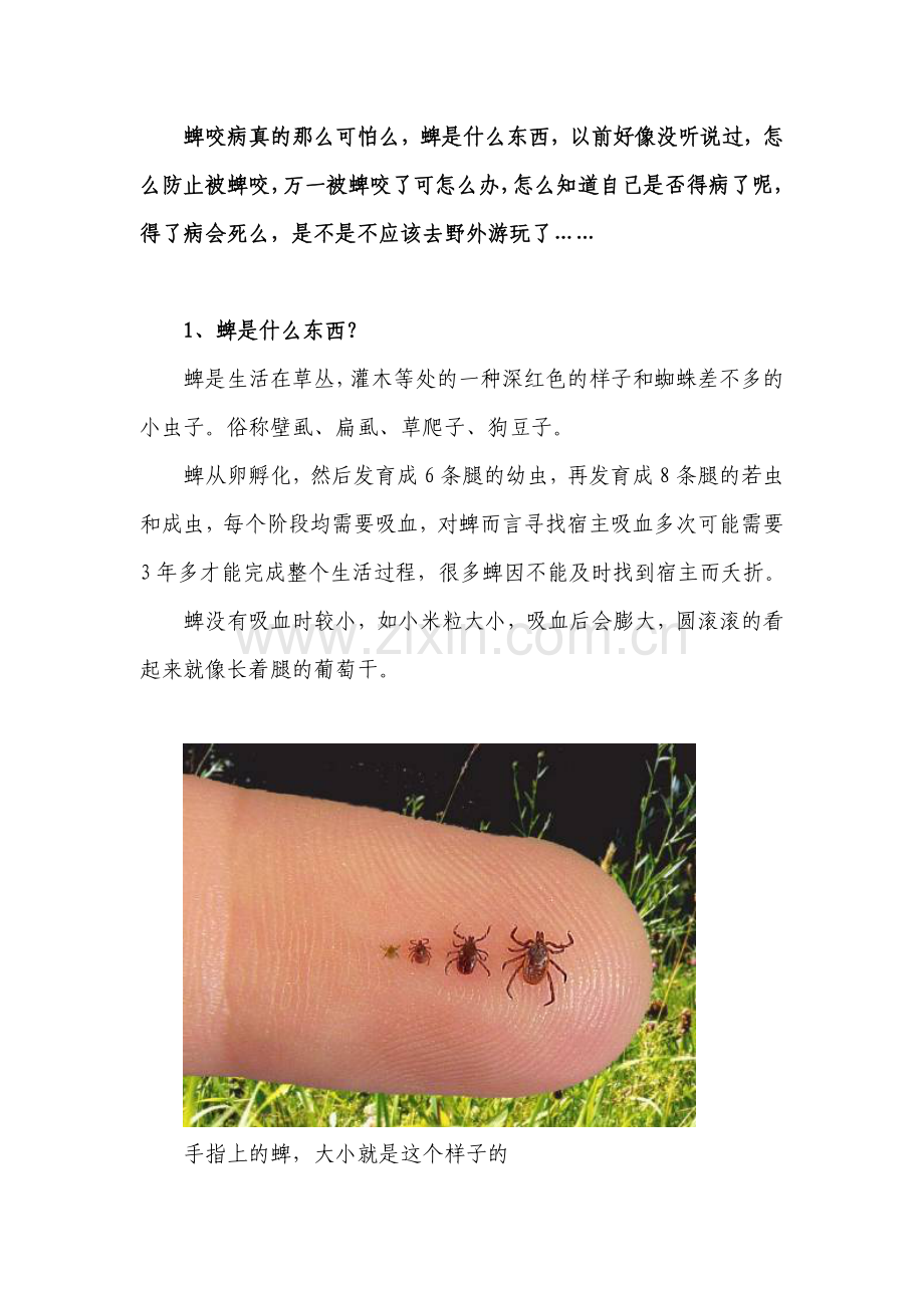 蜱叮咬预防和叮咬后处理.doc_第1页