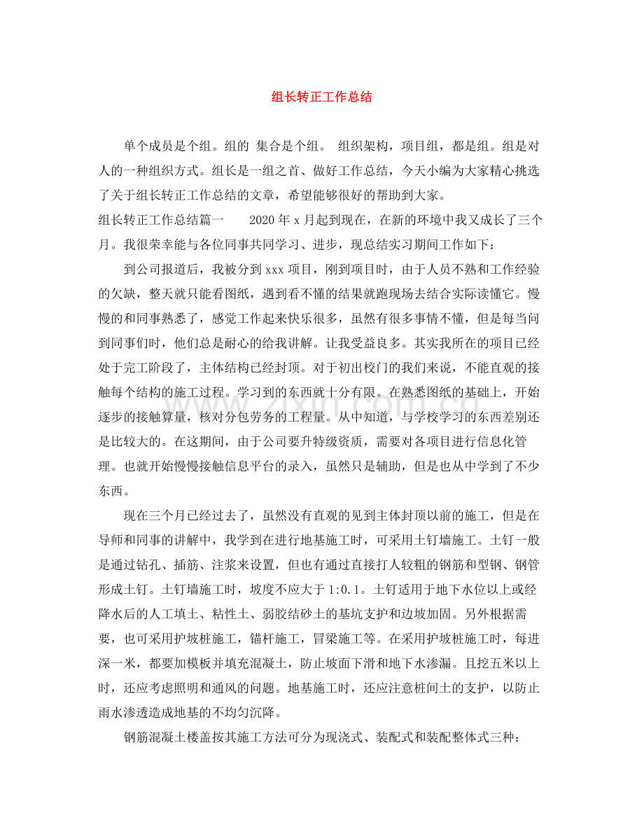 组长转正工作总结.docx_第1页