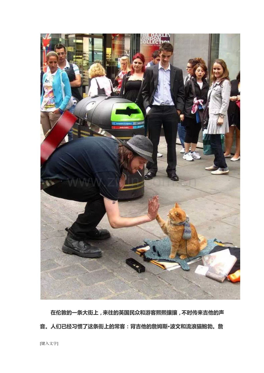 伦敦街头一只猫的故事,震惊全世界!!.docx_第2页