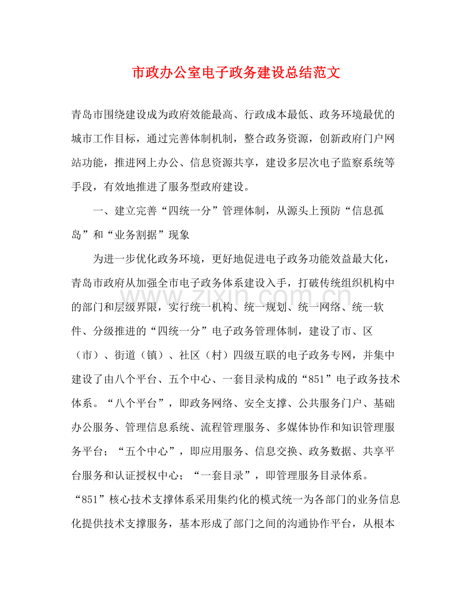 市政办公室电子政务建设总结范文.docx_第1页