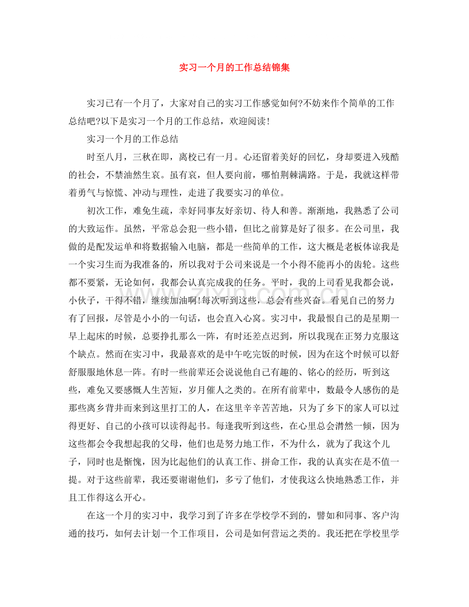 实习一个月的工作总结锦集.docx_第1页