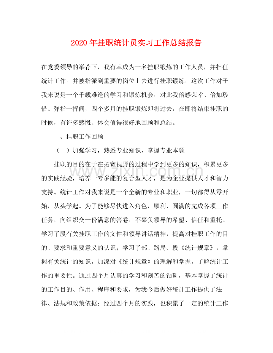 2020年挂职统计员实习工作总结报告.docx_第1页
