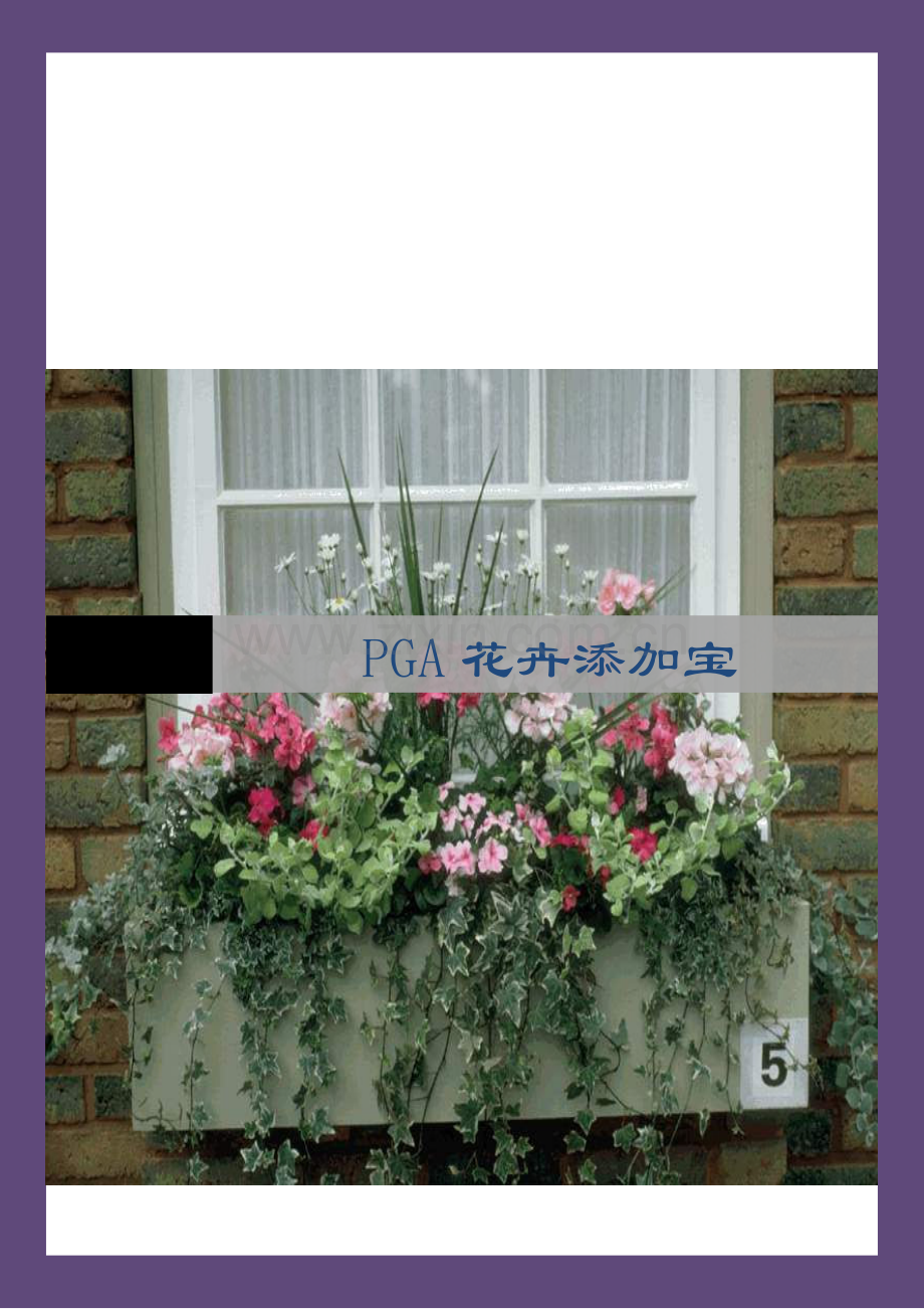 PGA花卉保鲜剂.doc_第1页