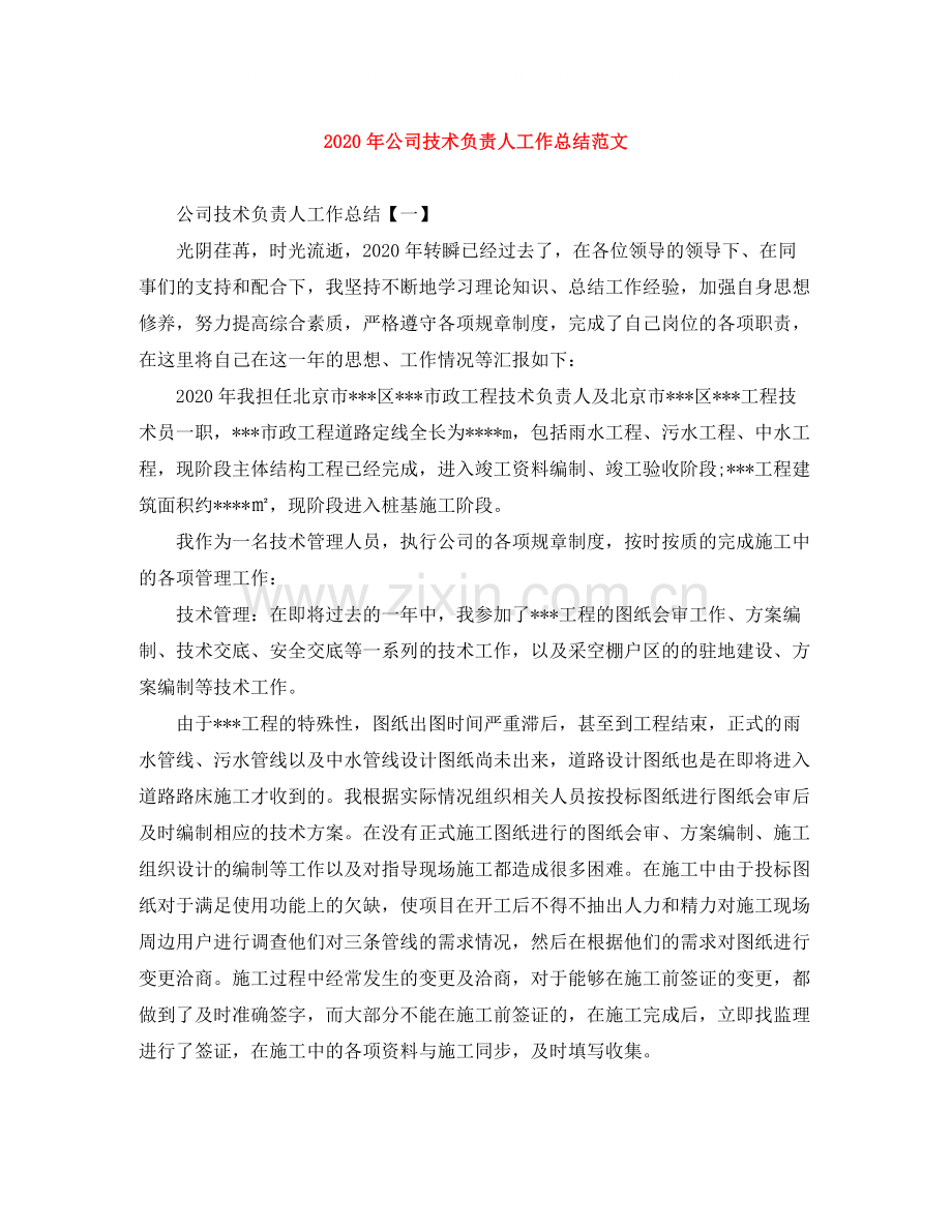 2020年公司技术负责人工作总结范文.docx_第1页
