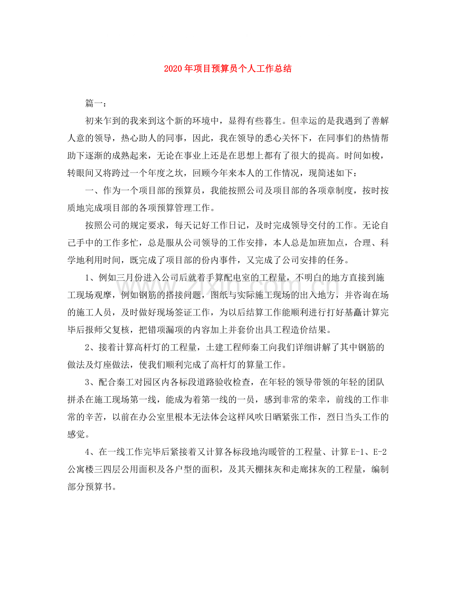 2020年项目预算员个人工作总结.docx_第1页
