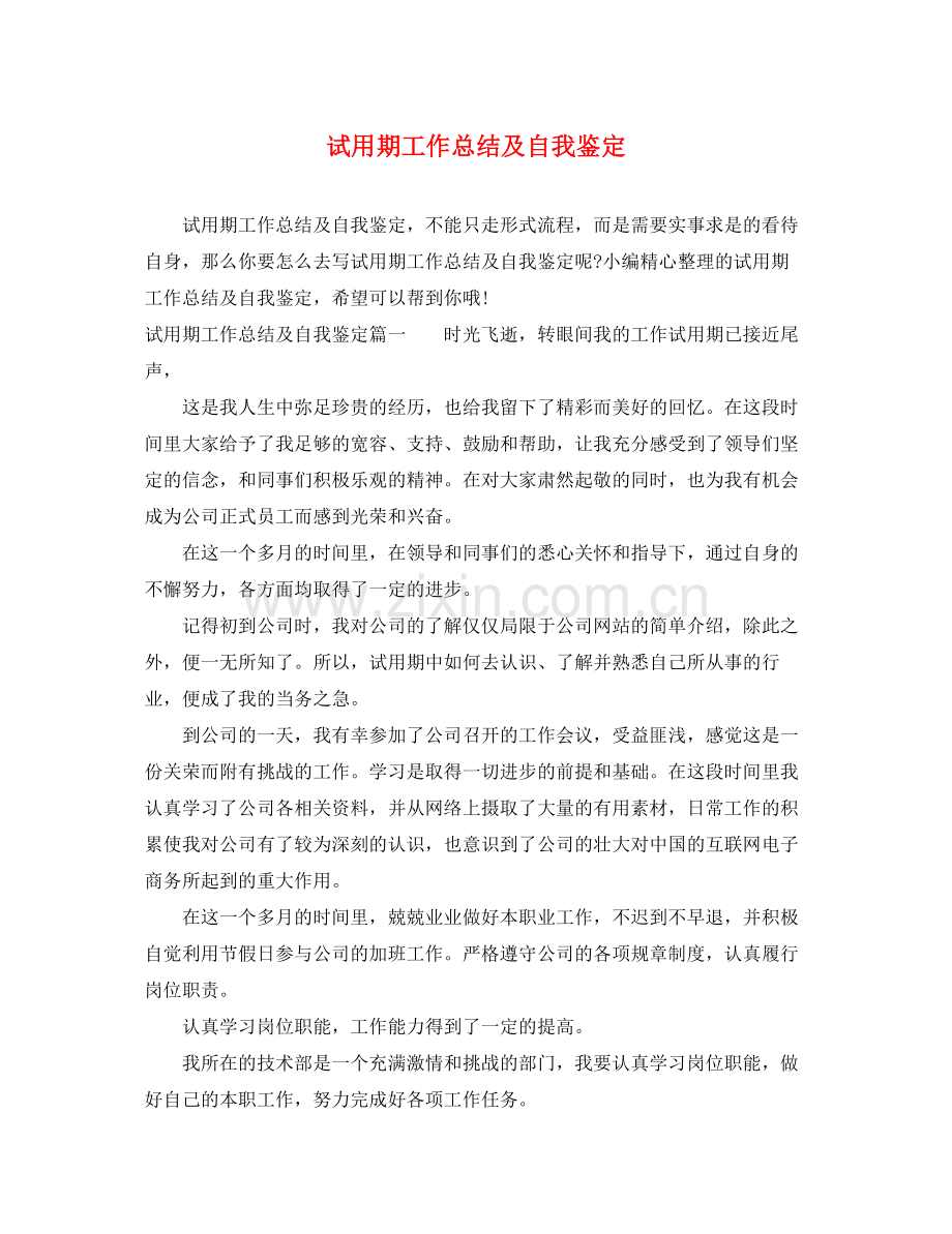 试用期工作总结及自我鉴定.docx_第1页