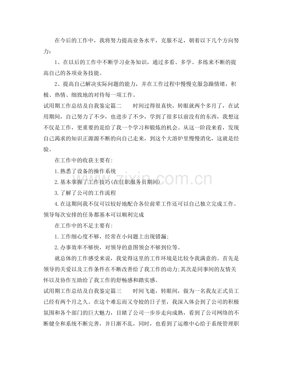 试用期工作总结及自我鉴定.docx_第2页