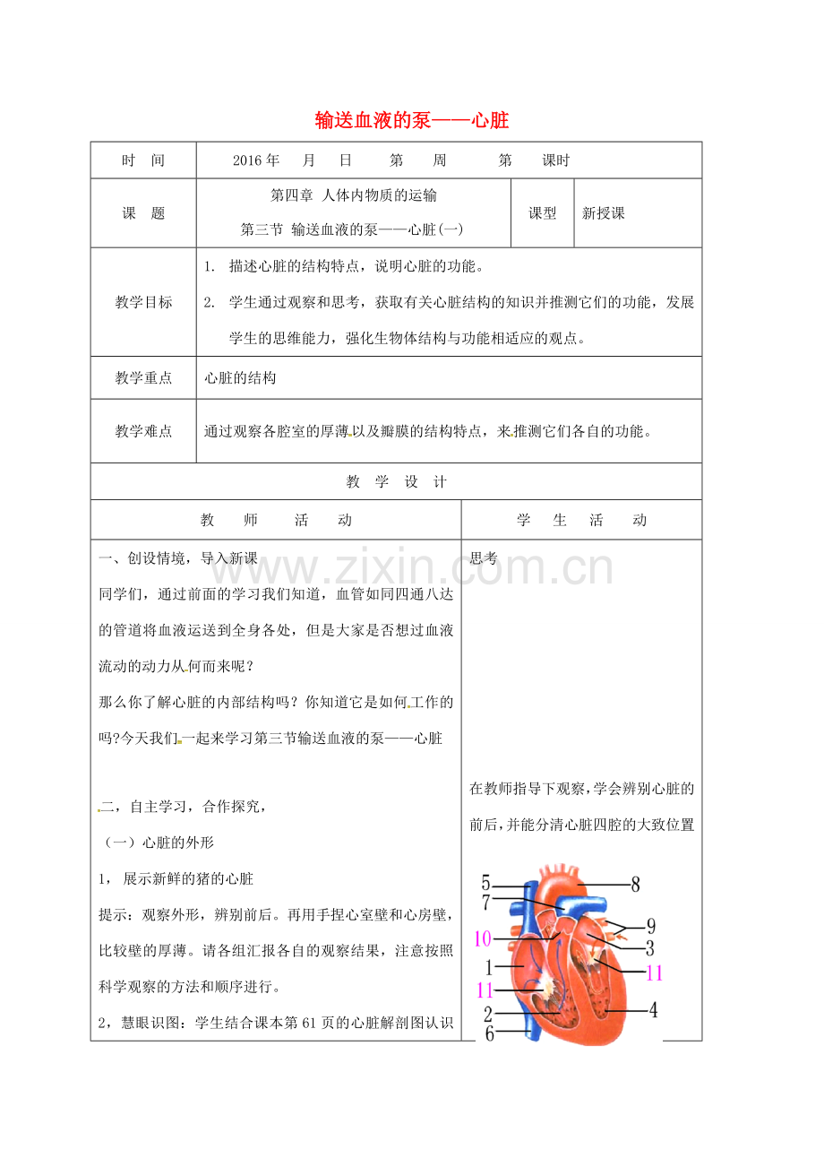 山东省郯城县七年级生物下册 4.4.3 输送血液的泵——心脏（一）教案 （新版）新人教版-（新版）新人教版初中七年级下册生物教案.doc_第1页