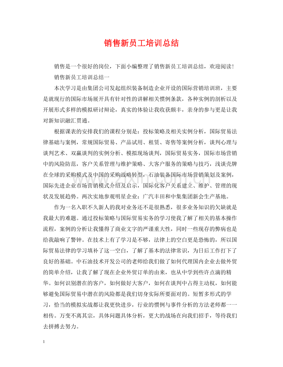 销售新员工培训总结.docx_第1页
