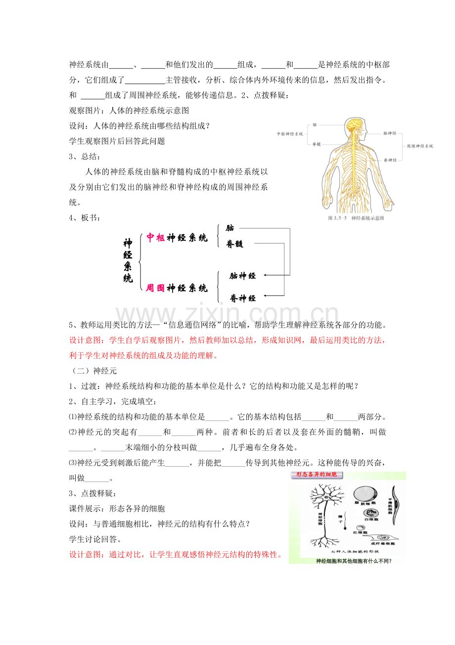 七年级生物下册 3.5.2 神经调节的结构基础教案2 济南版.doc_第2页