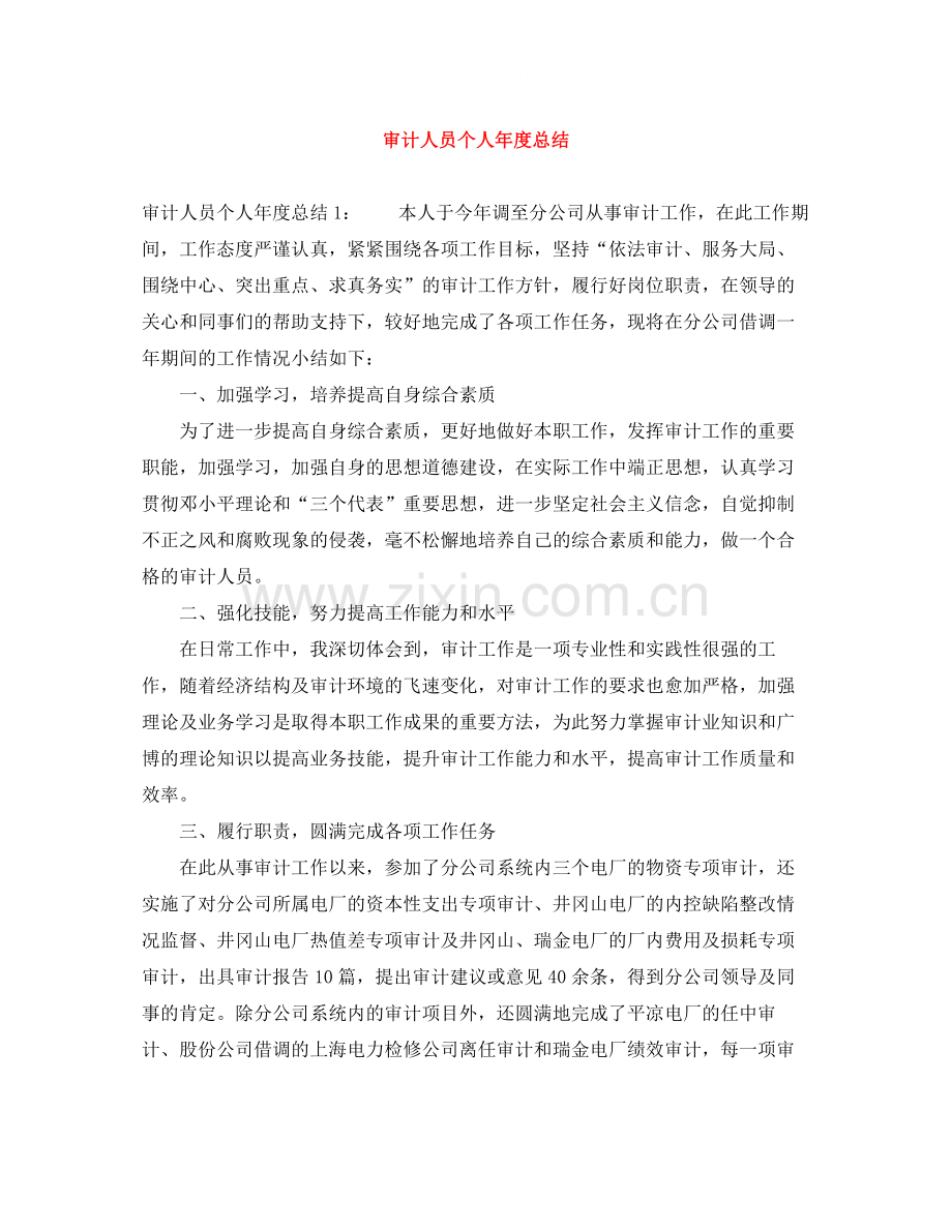 审计人员个人年度总结.docx_第1页