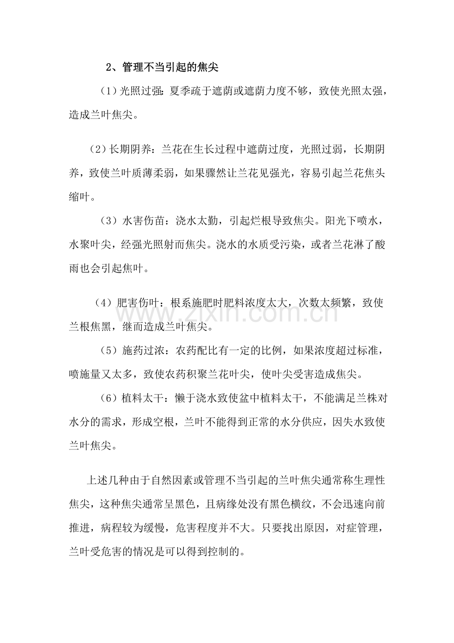 兰叶焦尖的预防.doc_第2页