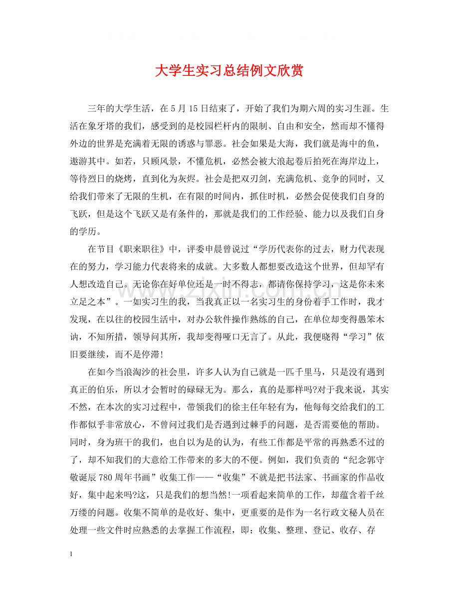 大学生实习总结例文欣赏.docx_第1页