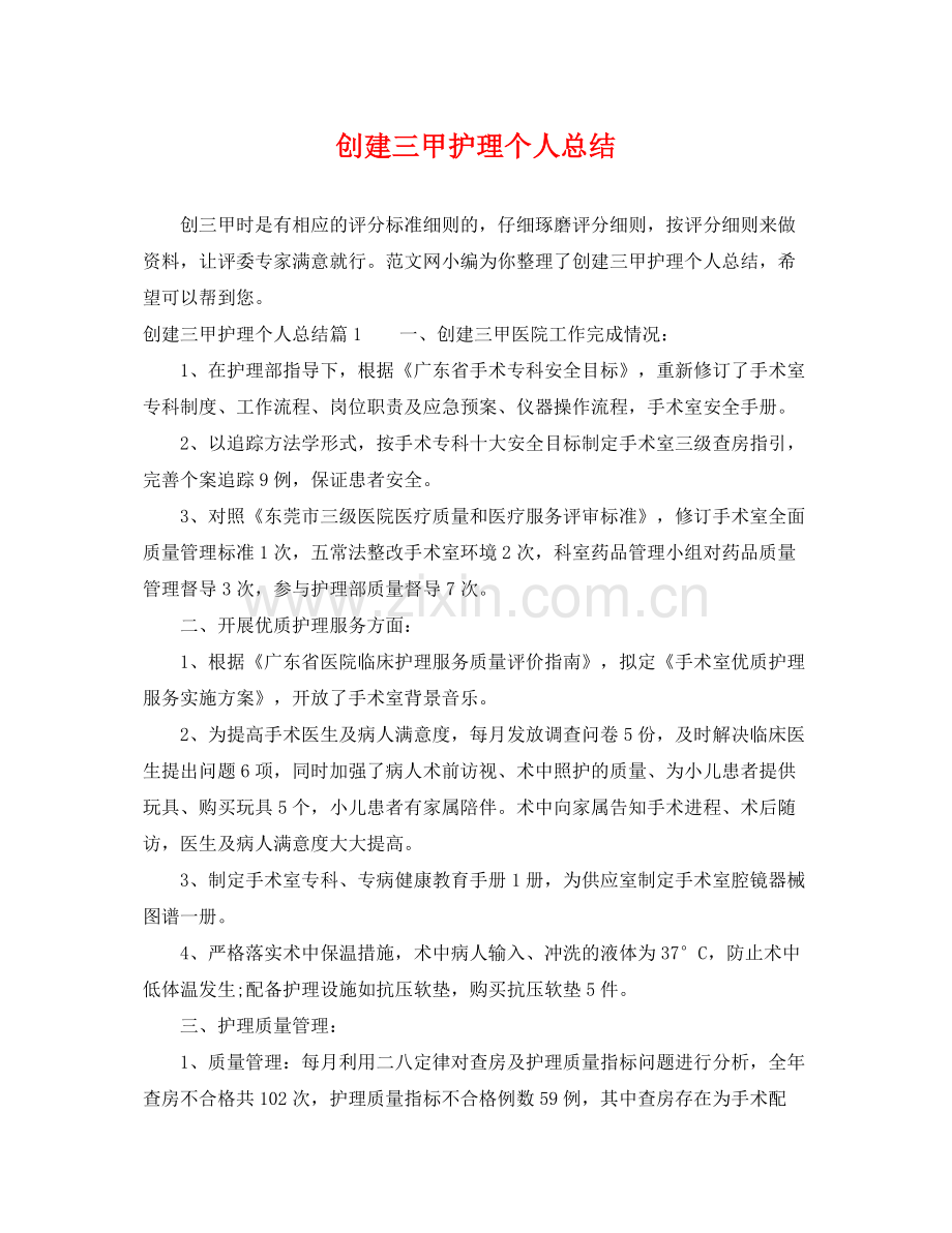 创建三甲护理个人总结 .docx_第1页