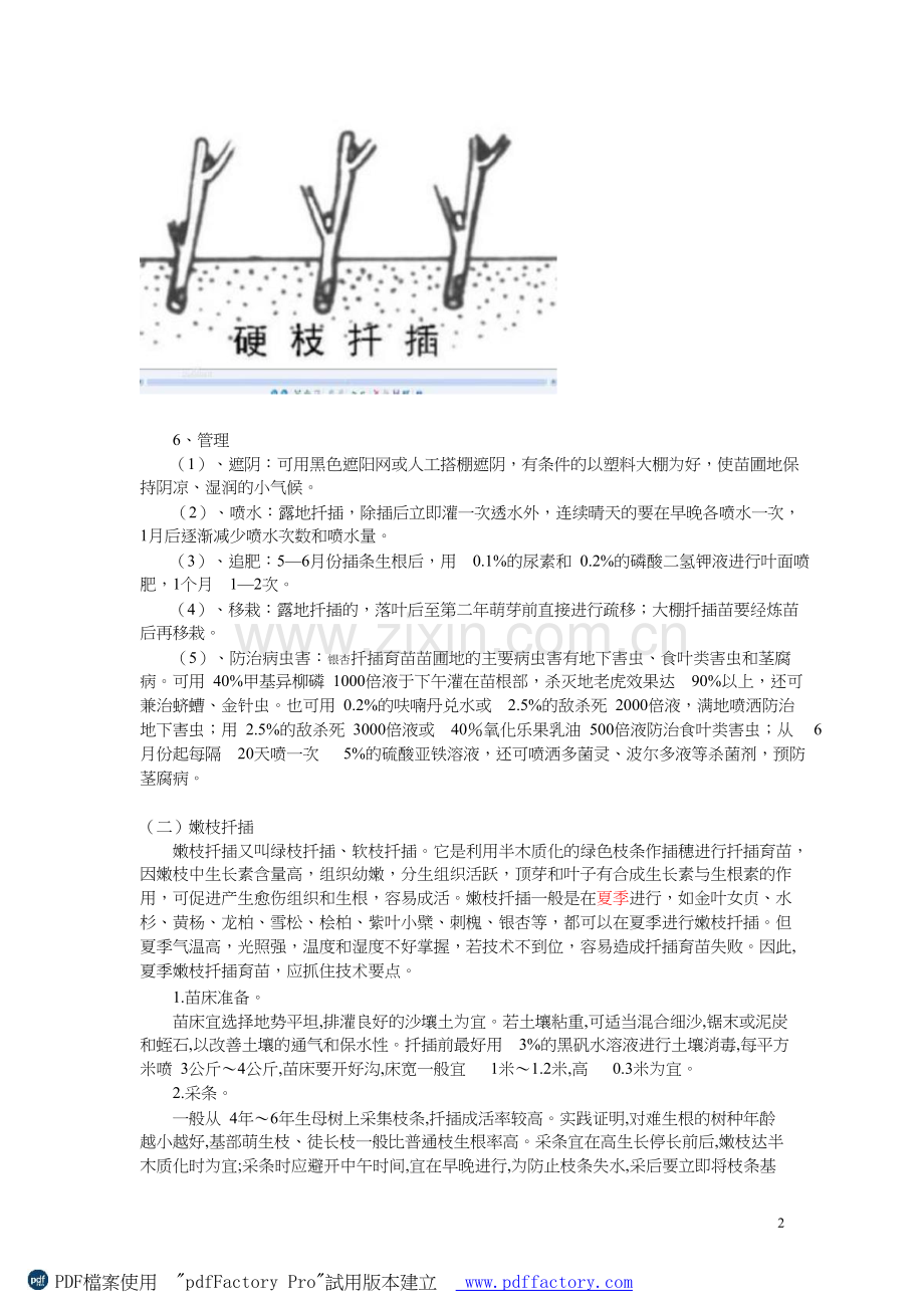 实验四园林植物扦插试验-zg.doc_第2页