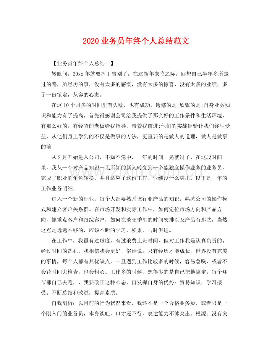 业务员年终个人总结范文 .docx_第1页