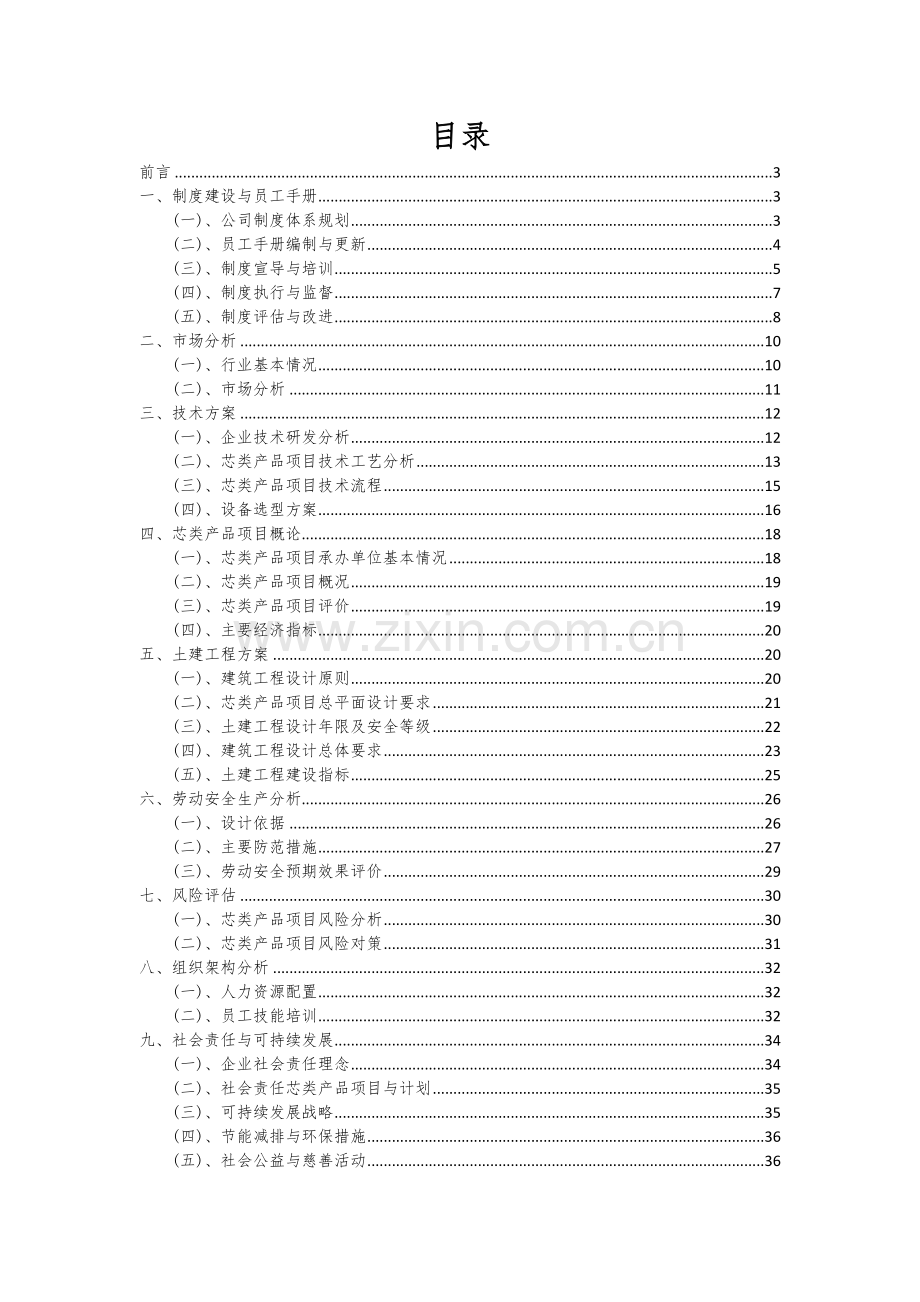 芯类产品项目商业计划书.docx_第2页