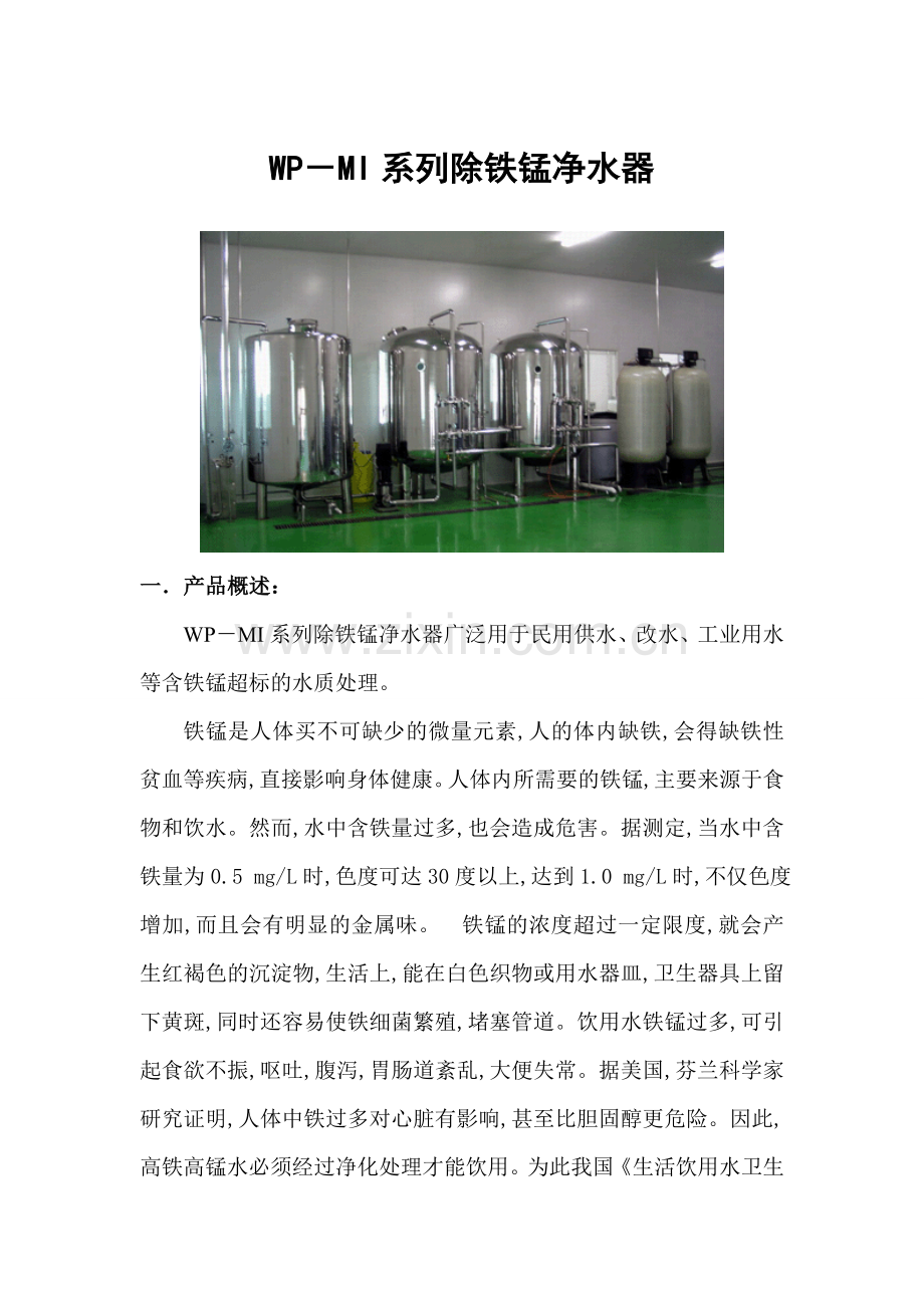 除铁锰净水器.doc_第1页