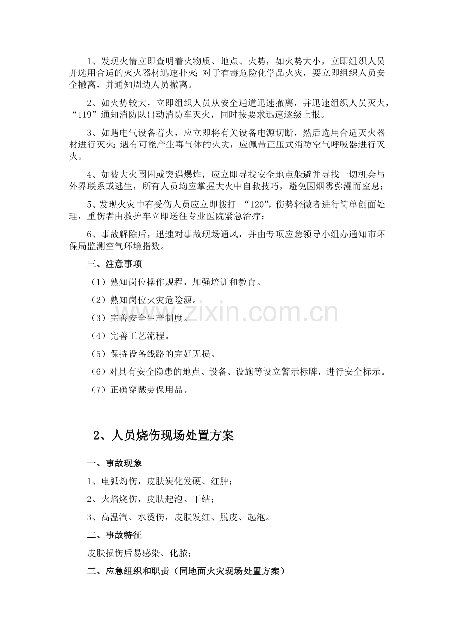 备用应急救援预案(现场处理方案).docx_第2页