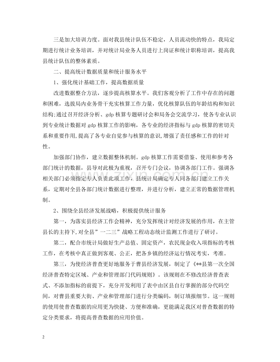 统计的工作总结模板.docx_第2页