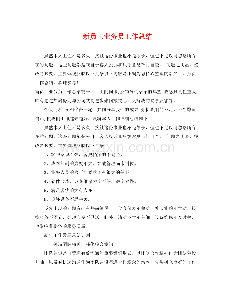 新员工业务员工作总结 .docx_第1页