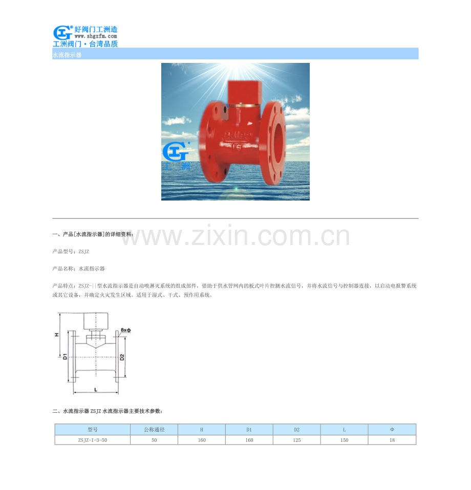 水流指示器.doc_第1页