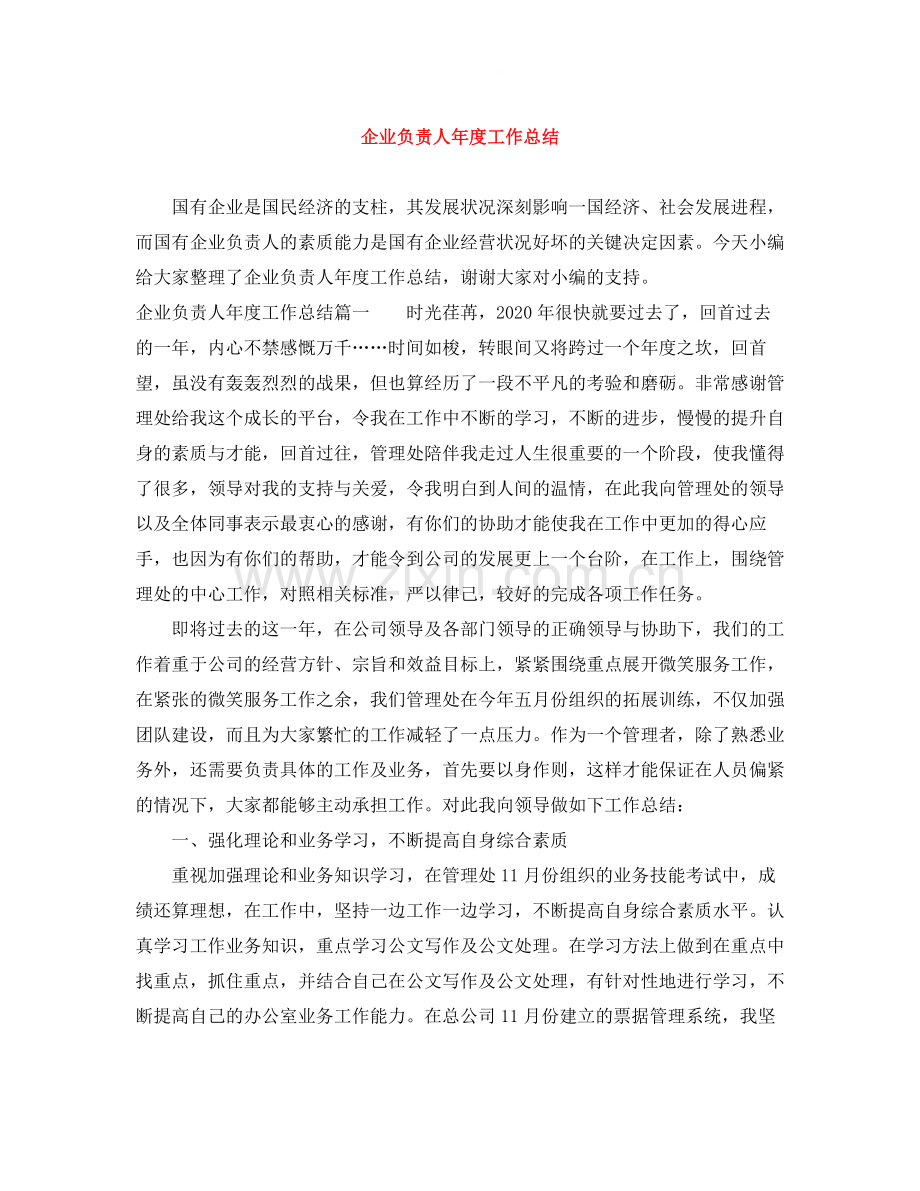 企业负责人年度工作总结.docx_第1页