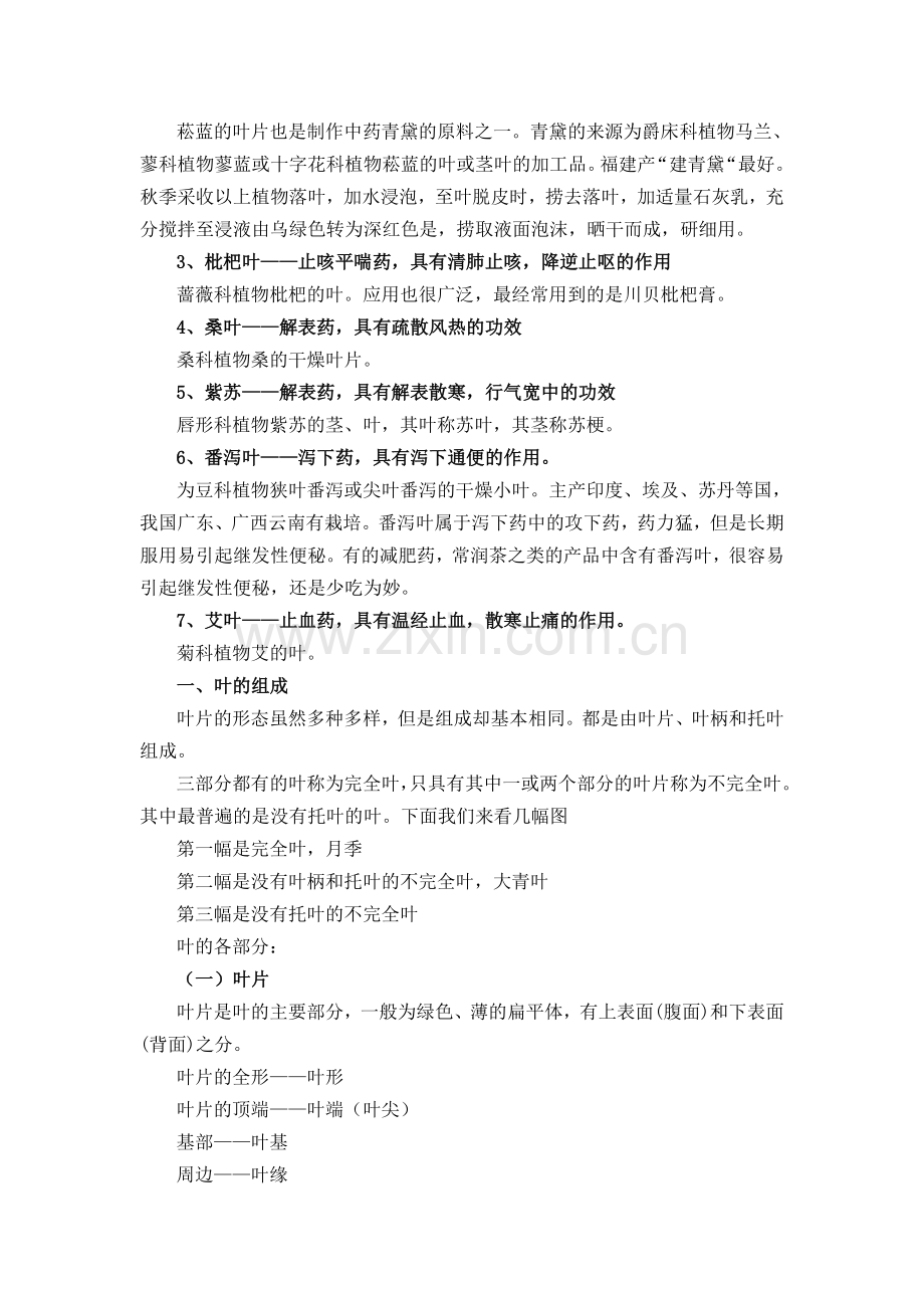 第四讲——器官(叶).doc_第2页