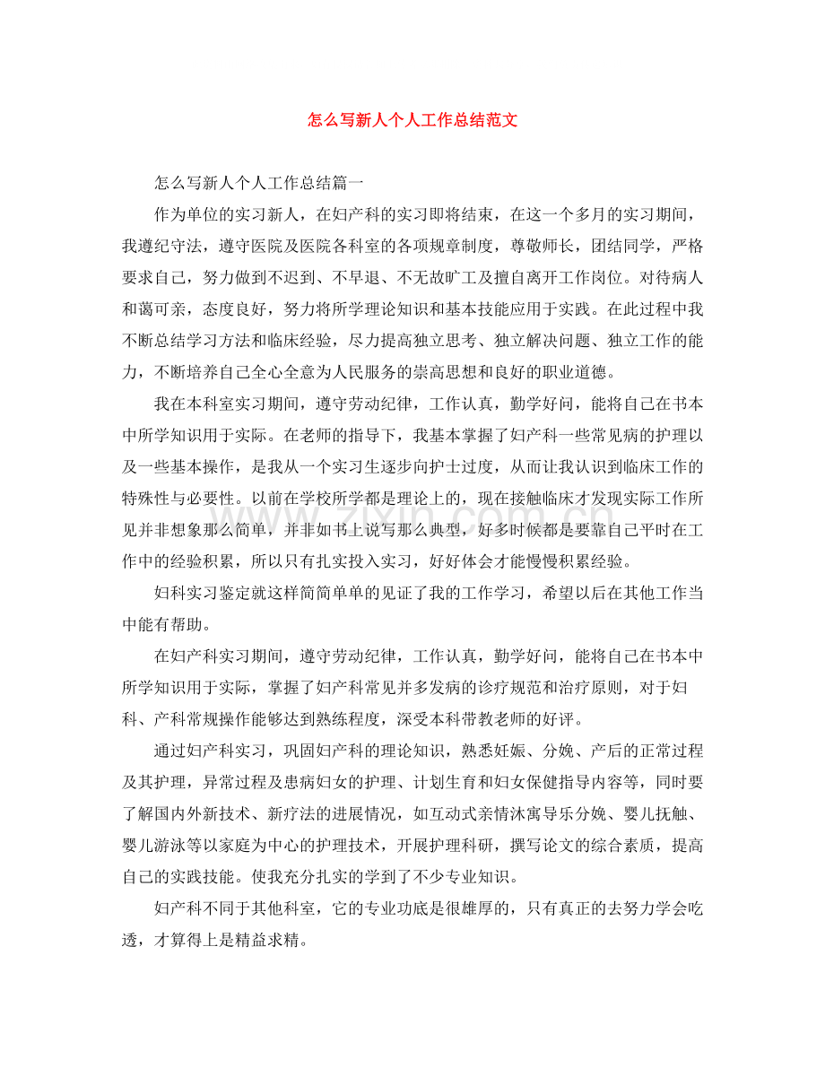 怎么写新人个人工作总结范文.docx_第1页