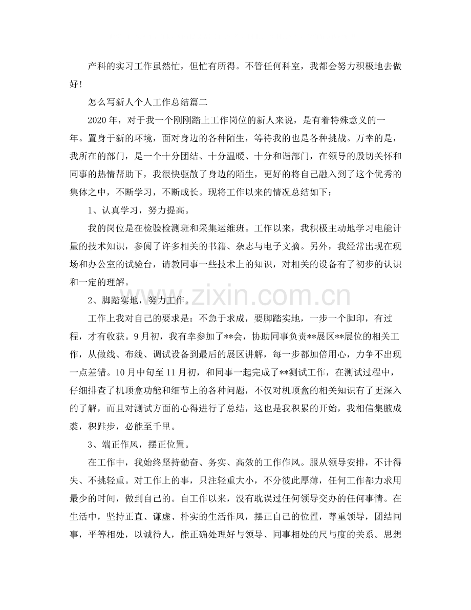 怎么写新人个人工作总结范文.docx_第2页