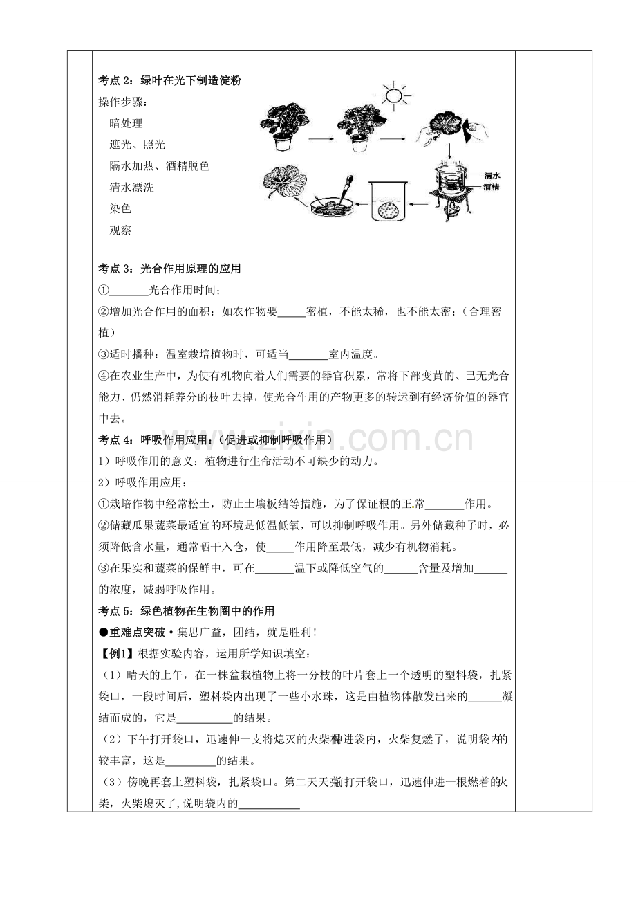 湖南省茶陵县世纪星实验学校八年级生物复习《第8讲 光合作用和呼吸作用《教案 人教新课标版.doc_第2页