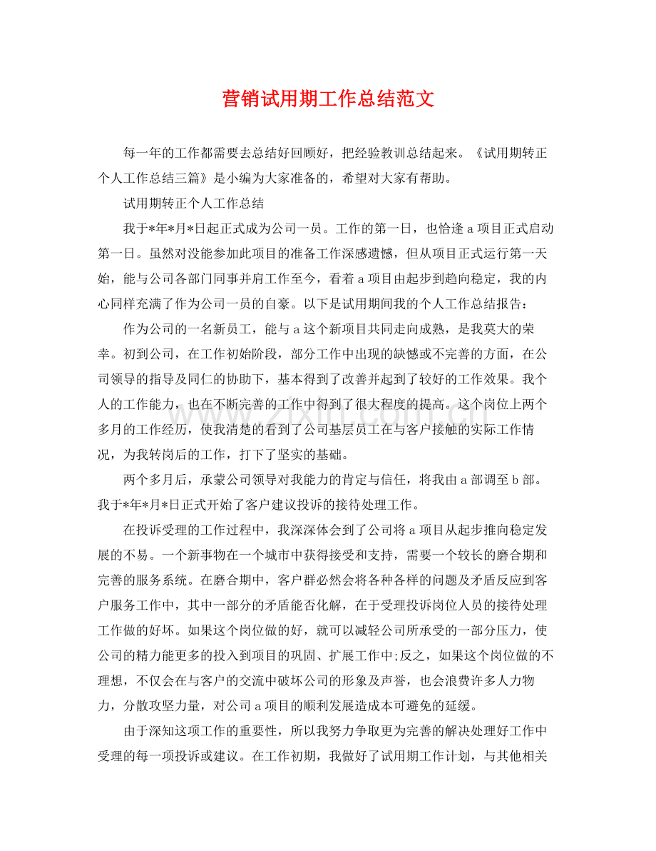 营销试用期工作总结范文 .docx_第1页