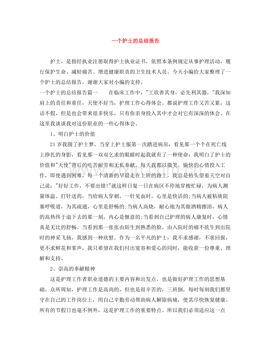 一个护士的总结报告.docx_第1页