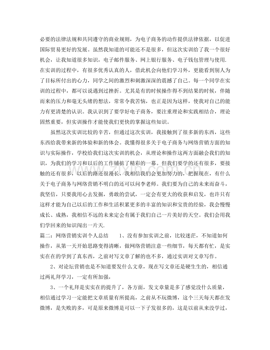 网络营销实训个人总结.docx_第2页
