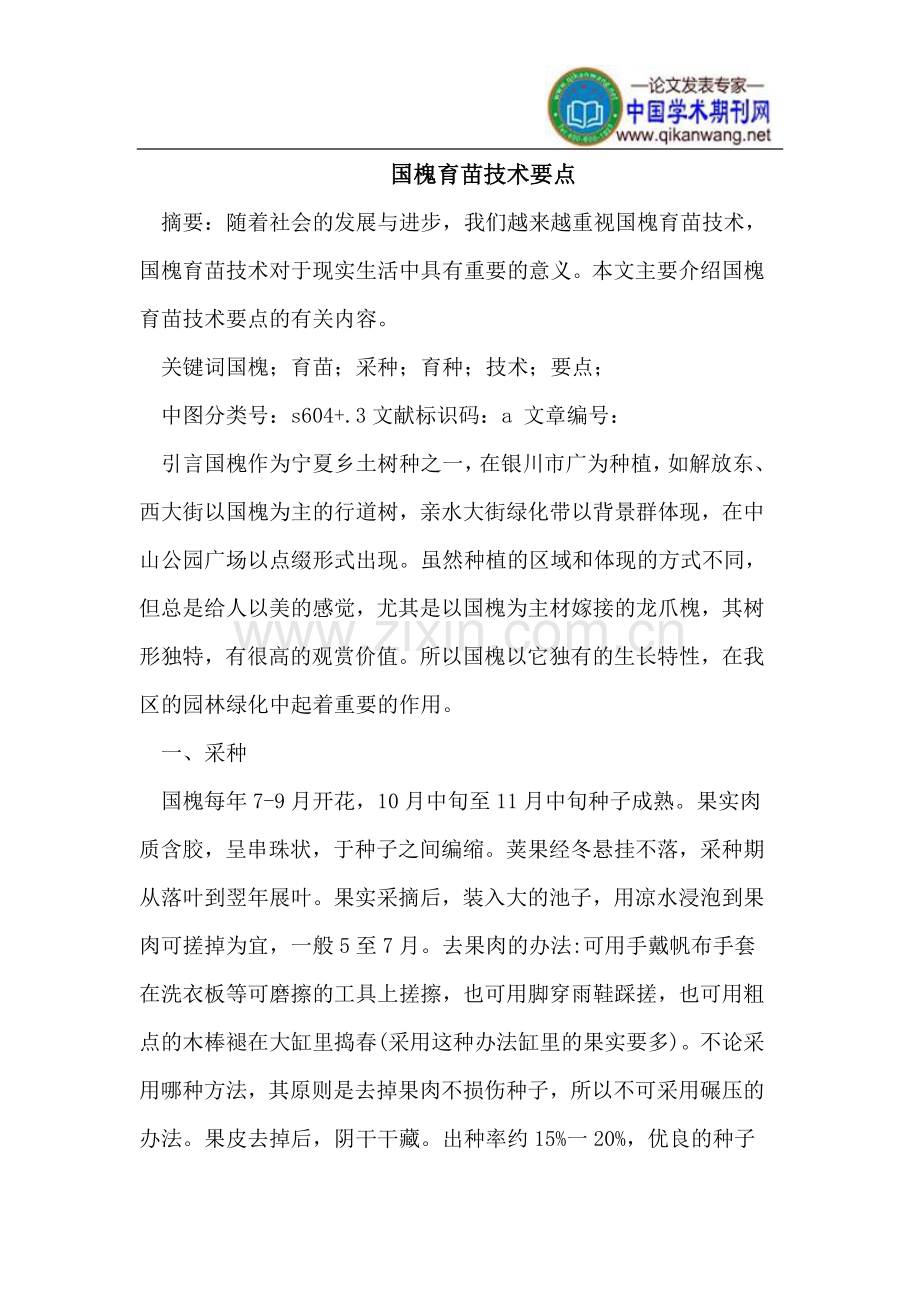 国槐育苗技术要点.doc_第1页