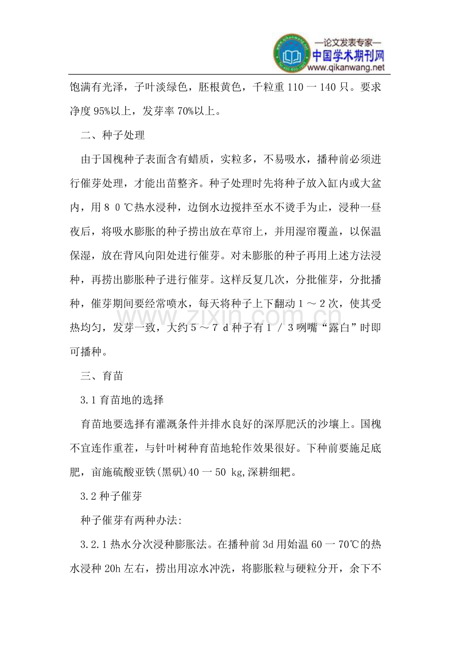 国槐育苗技术要点.doc_第2页