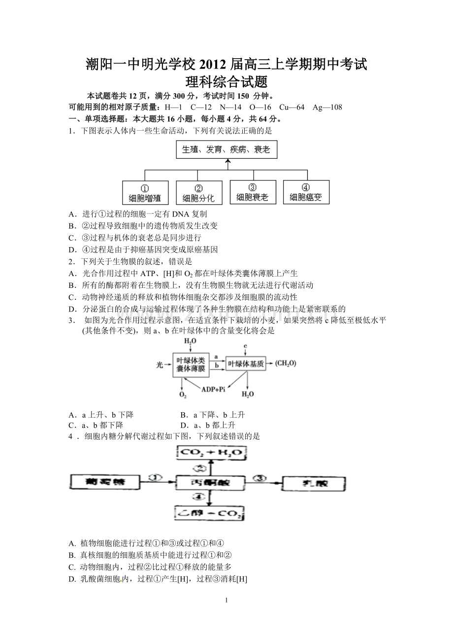 潮阳一中明光学校2012届高三上学期期中考试(理综).doc_第1页