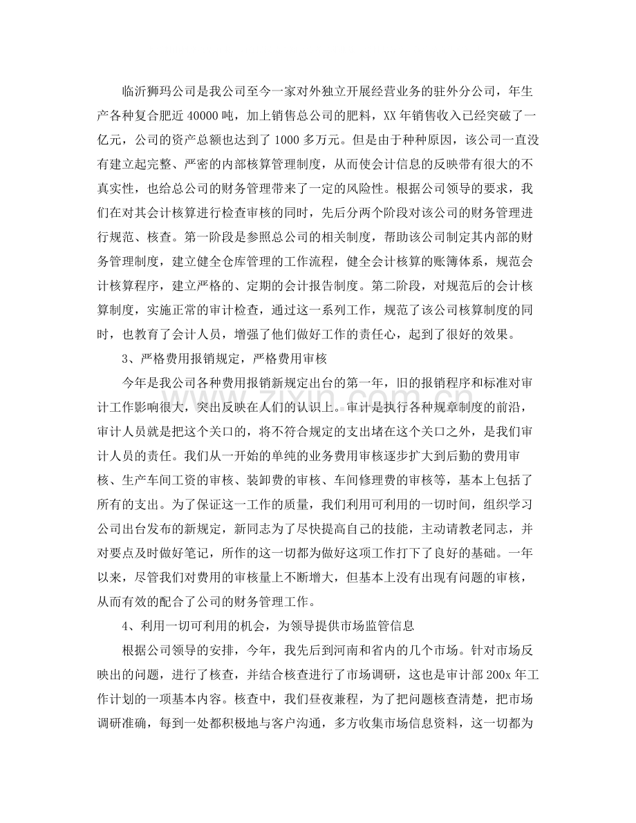 审计科工作总结.docx_第2页
