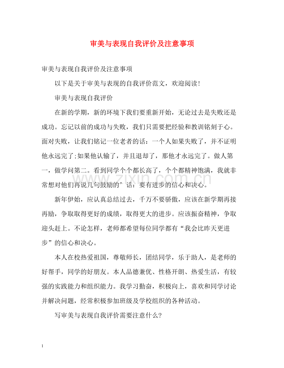 审美与表现自我评价及注意事项.docx_第1页